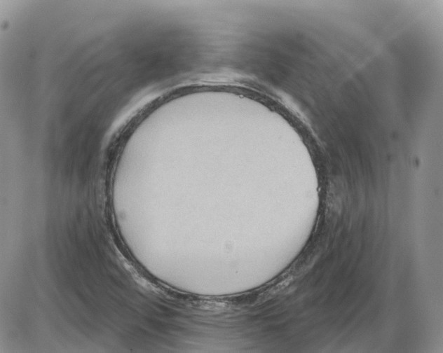 X0000086001456200704201819