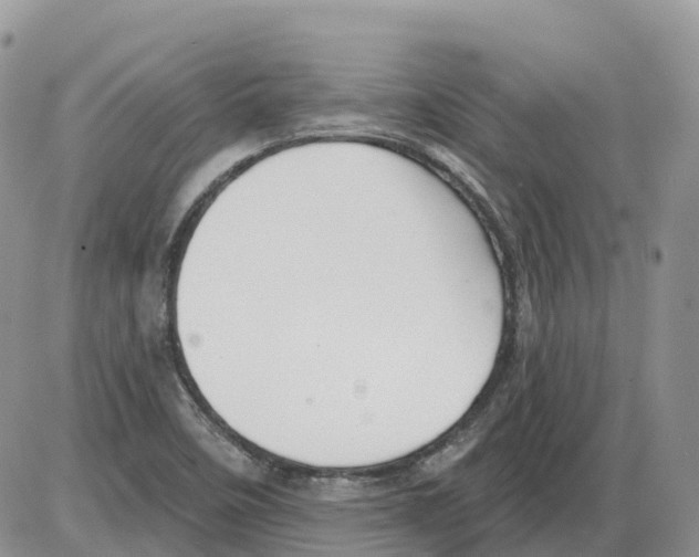 X0000086001458200704201819