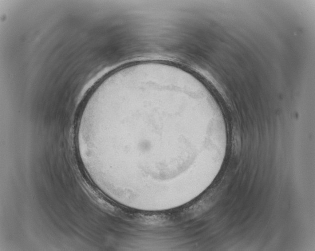 X0000086001460200704201819