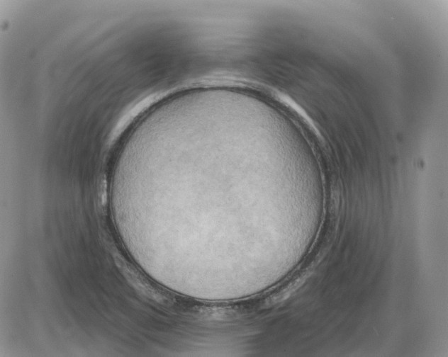 X0000086001461200704201819