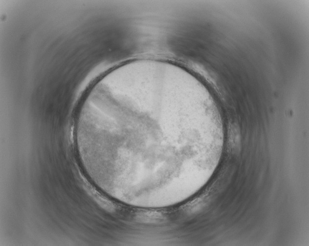 X0000086001462200704201819