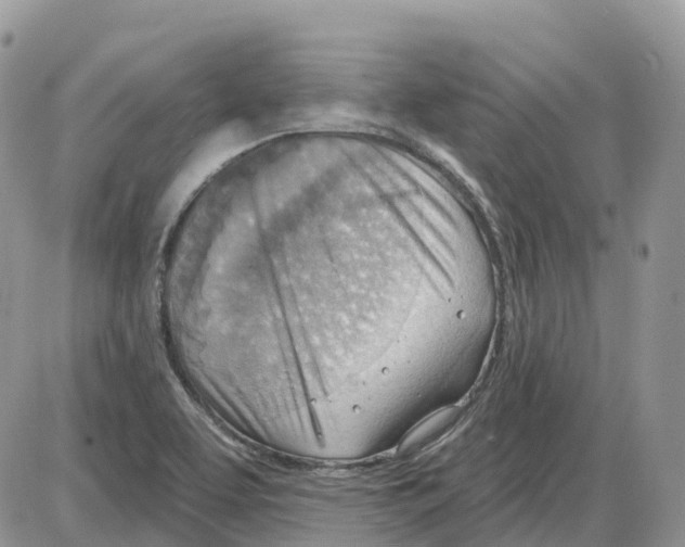 X0000086001463200704201819