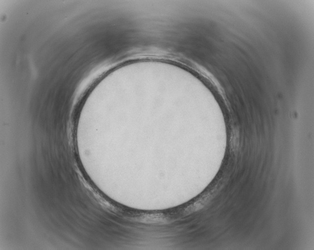 X0000086001464200704201819