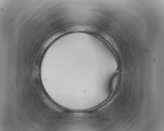 X0000086001465200704201819