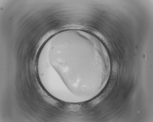 X0000086001466200704201819