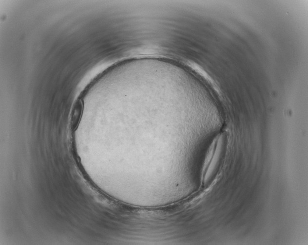 X0000086001469200704201819