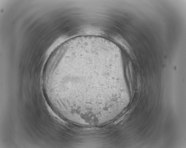 X0000086001471200704201819