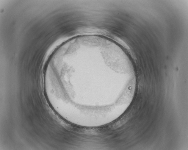 X0000086001472200704201819