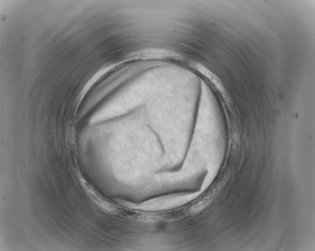 X0000086001473200704201819