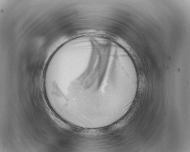 X0000086001474200704201819