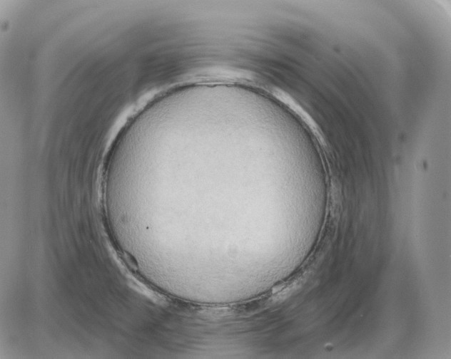 X0000086001477200704201819