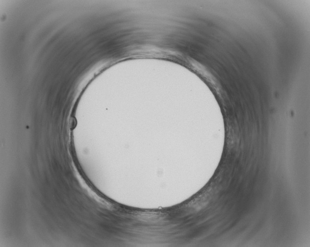 X0000086001479200704201819