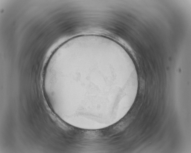 X0000086001480200704201819