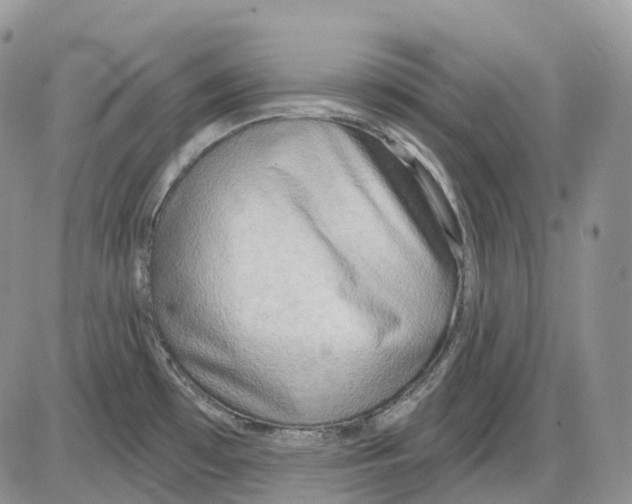 X0000086001481200704201819