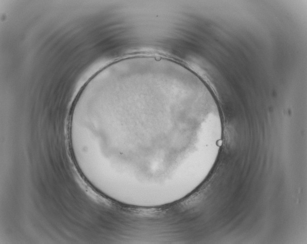 X0000086001482200704201819