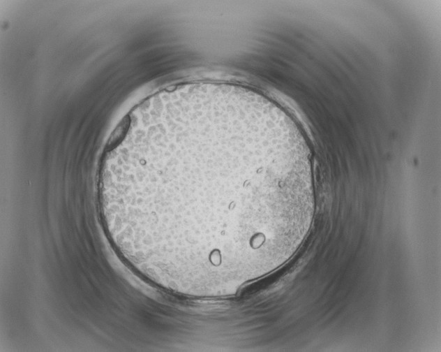 X0000086001483200704201819