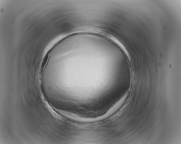 X0000086001485200704201819