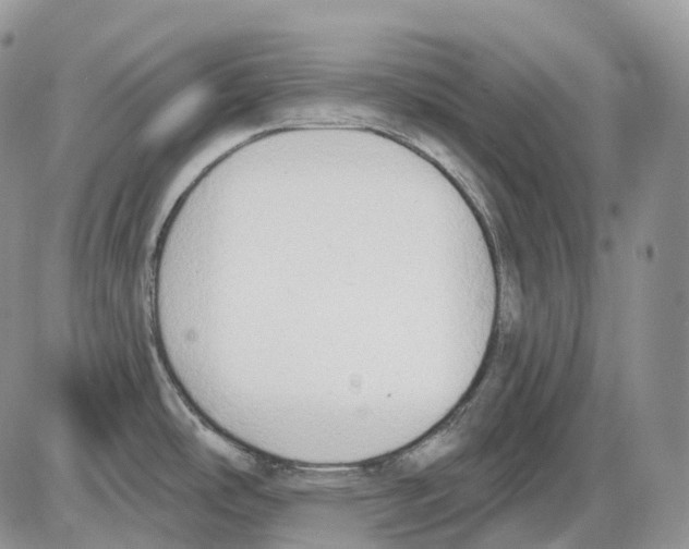 X0000086001486200704201819