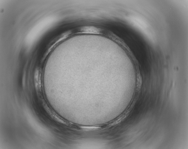 X0000086001487200704201819