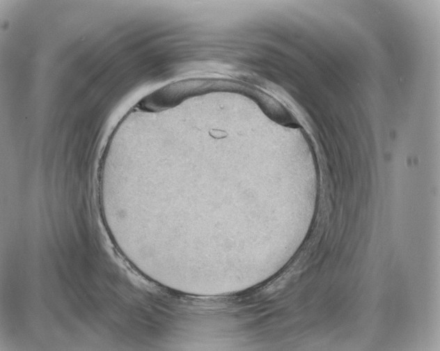 X0000086001488200704201819