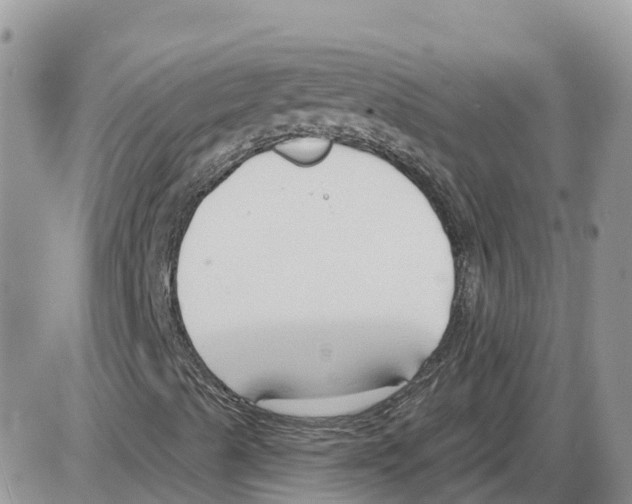 X0000086001489200704201818