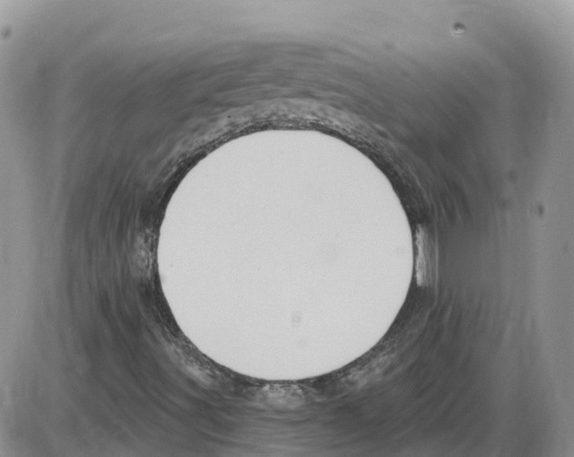 X0000086001491200704201818