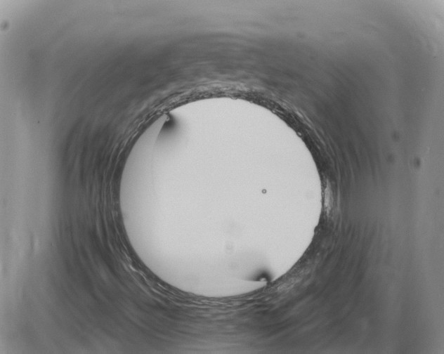 X0000086001492200704201818