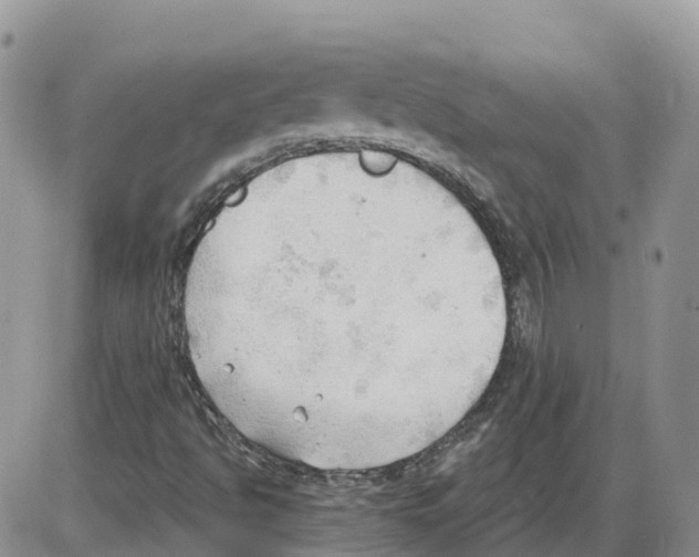 X0000086001494200704201818