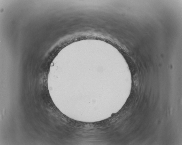 X0000086001495200704201818