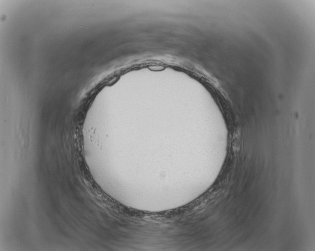 X0000086001496200704201818