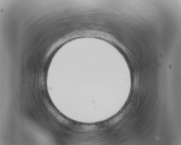 X0000086001498200704201818