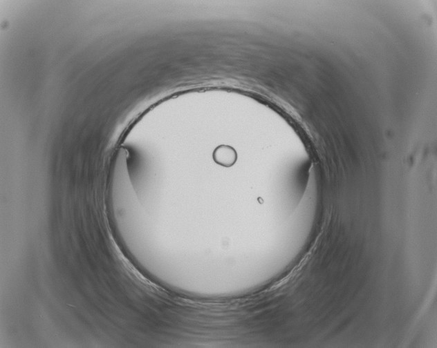 X0000086001500200704201818