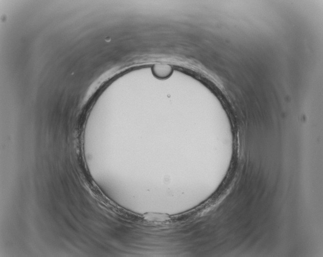 X0000086001501200704201818