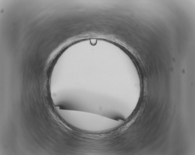 X0000086001502200704201818