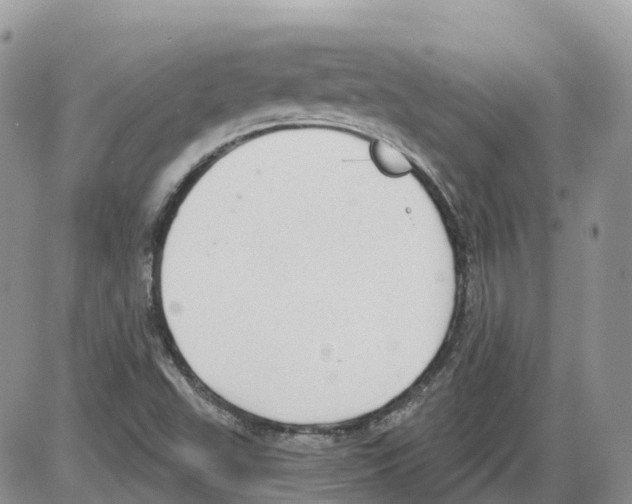 X0000086001503200704201818