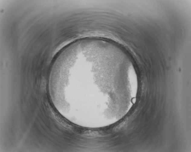 X0000086001505200704201818