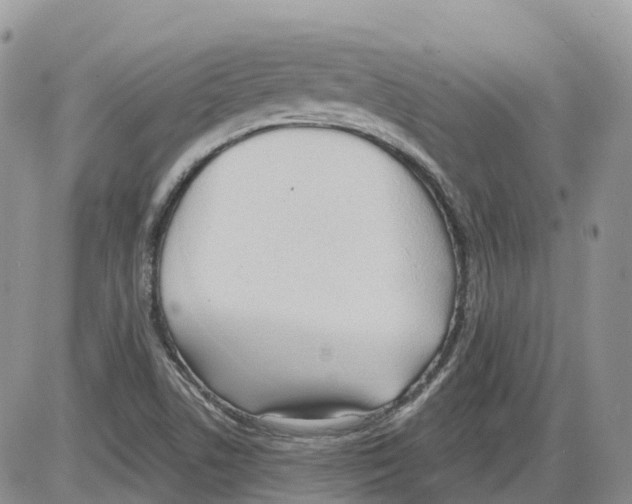 X0000086001506200704201818