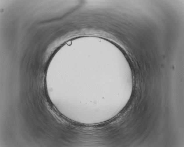 X0000086001507200704201818