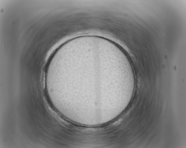 X0000086001510200704201818