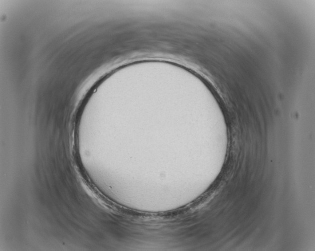 X0000086001511200704201818