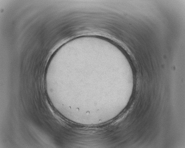 X0000086001513200704201818