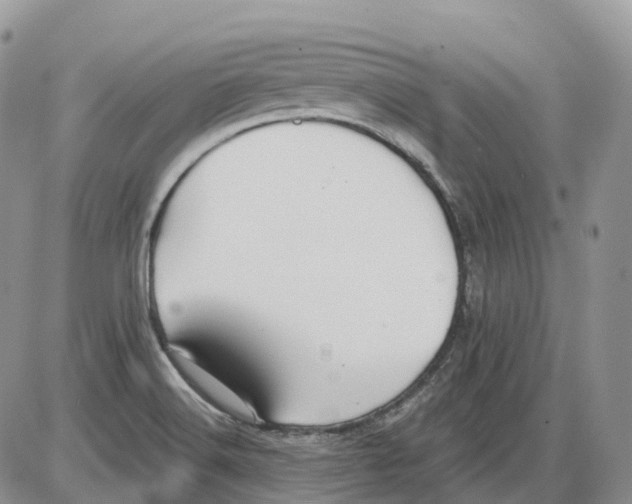 X0000086001516200704201818