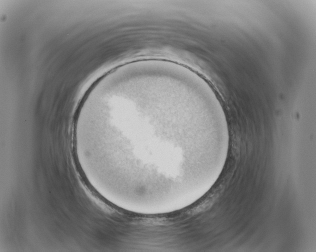 X0000086001519200704201818