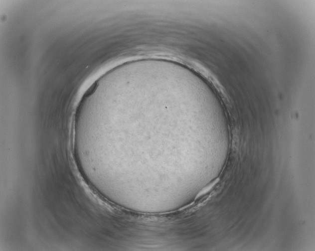 X0000086001520200704201818