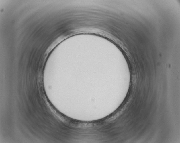 X0000086001521200704201818