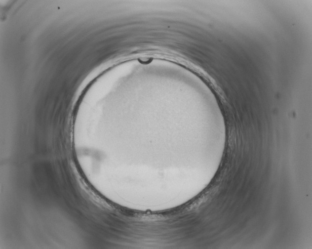 X0000086001522200704201818