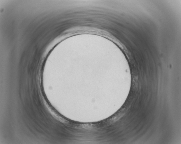 X0000086001523200704201819