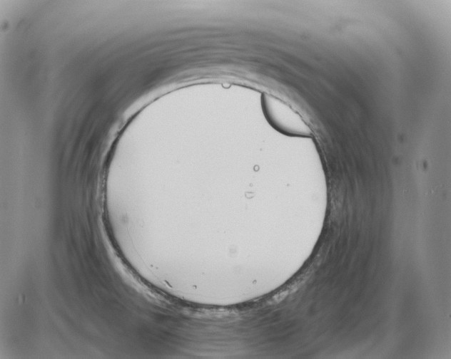 X0000086001526200704201819