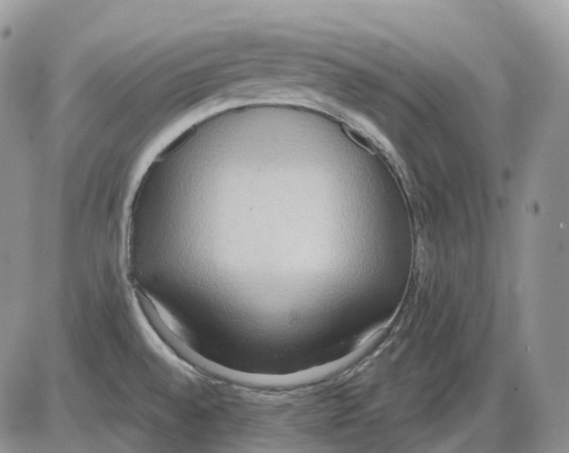 X0000086001528200704201819