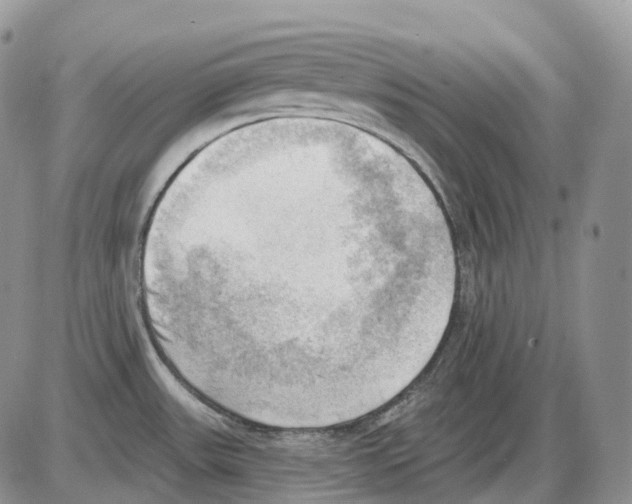 X0000086001531200704201819